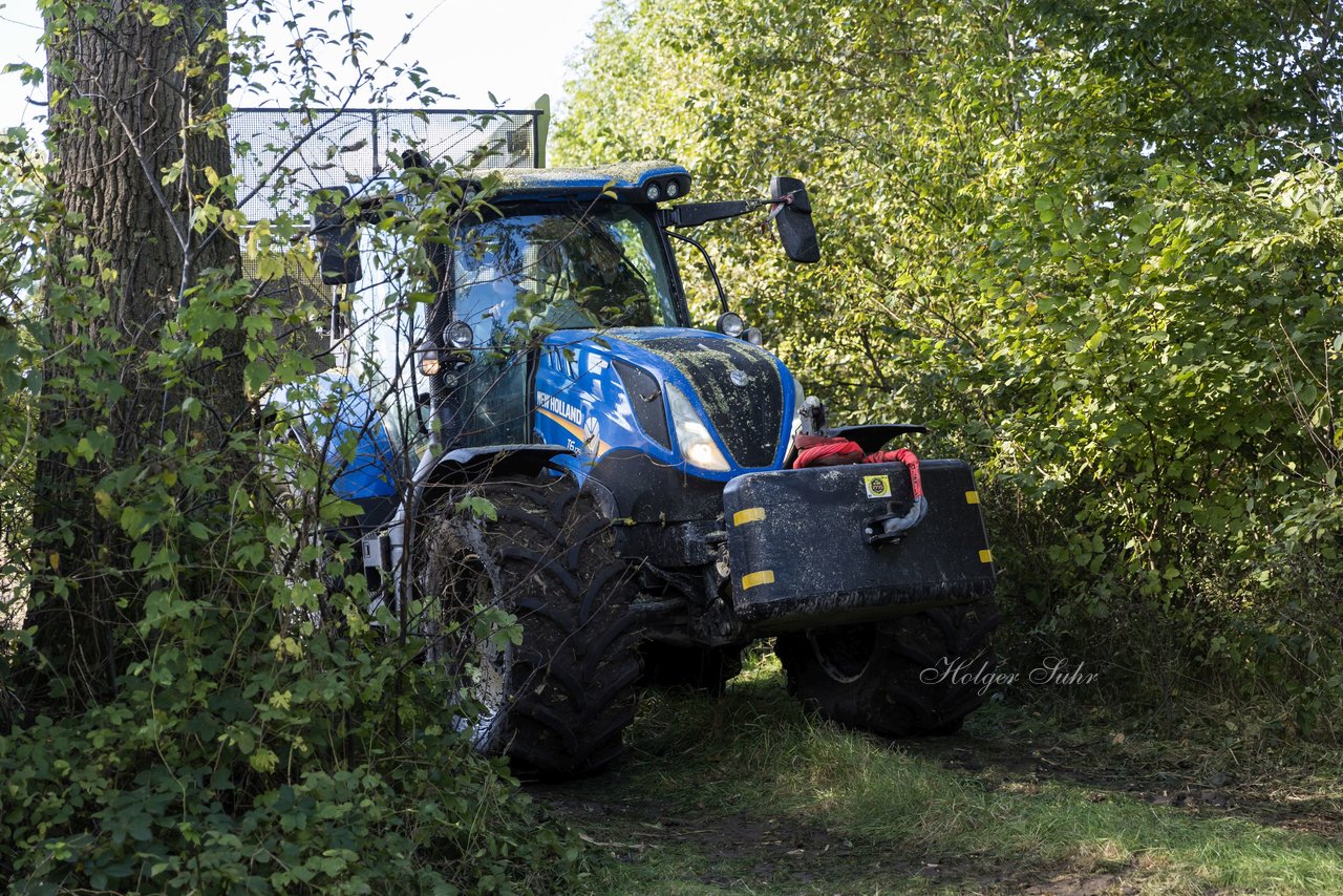 Bild 32 - Maisernte